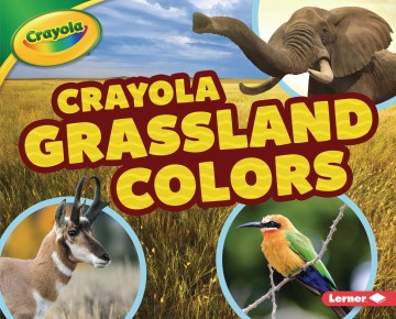 Crayola Grassland Colors Cheap