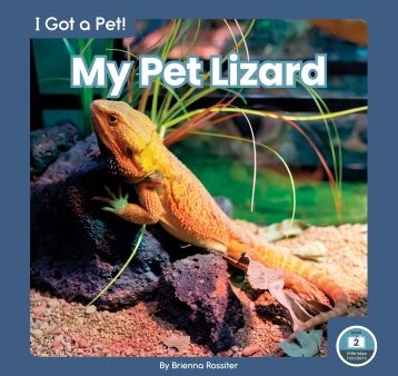 My Pet Lizard For Discount