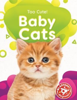 Baby Cats Online Sale