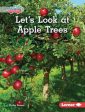 Let s Look at Apple Trees For Discount