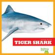 Tiger Shark Supply