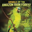 Animals of the Amazon Rain Forest For Sale