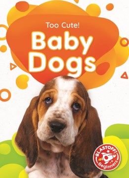 Baby Dogs on Sale