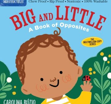 Big and Little Online Sale