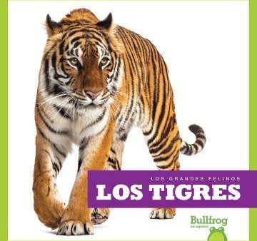 Los tigres   Tigers For Sale