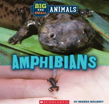 Big and Small Amphibians Cheap