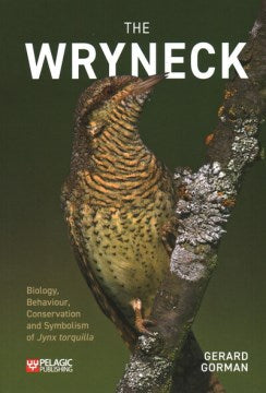 The Wryneck For Sale