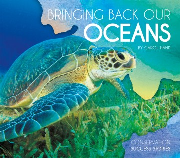 Bringing Back Our Oceans on Sale