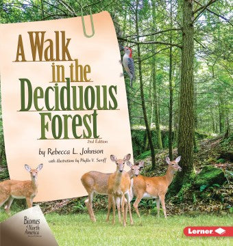 A Walk in the Deciduous Forest For Discount