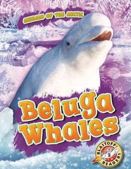 Beluga Whales For Discount