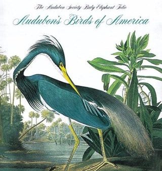 Audubon s Birds Of America Online Sale