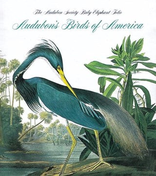 Audubon s Birds Of America Online Sale