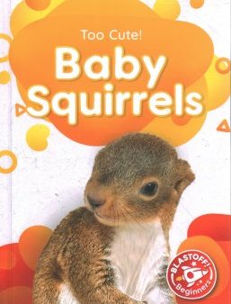 Baby Squirrels Supply