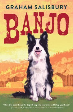 Banjo Sale