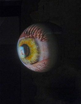 Tony Oursler Online