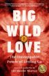 Big Wild Love Supply