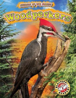 Woodpeckers Online Sale