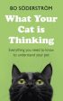 What Your Cat Is Thinking on Sale