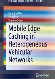 Mobile Edge Caching in Heterogeneous Vehicular Networks Supply