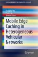 Mobile Edge Caching in Heterogeneous Vehicular Networks Supply