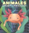 Animales extra?os y maravillosos   Strange and Marvelous Animals For Sale