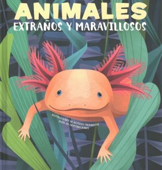 Animales extra?os y maravillosos   Strange and Marvelous Animals For Sale