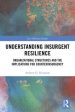 Understanding Insurgent Resilience Supply