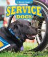 Service Dogs Cheap