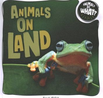 Animals on Land Cheap