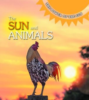 The Sun and Animals Online Hot Sale